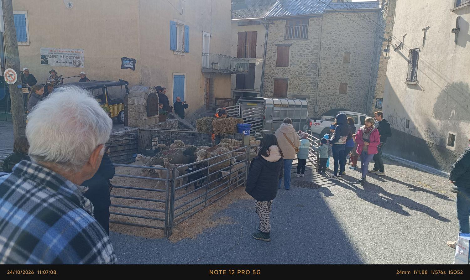 Fête des bergers(ères) 2026