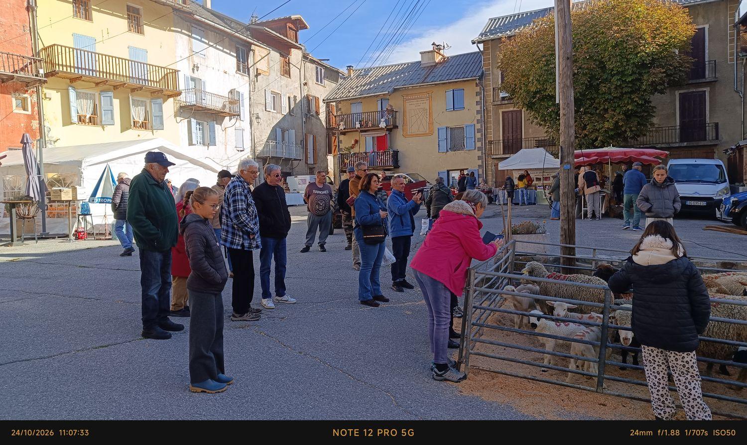Fête des bergers(ères) 2026