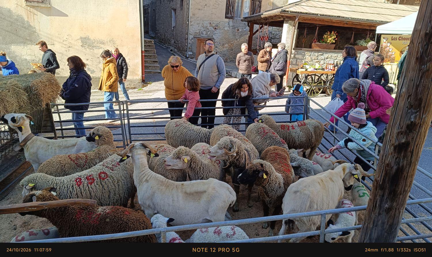 Fête des bergers(ères) 2026