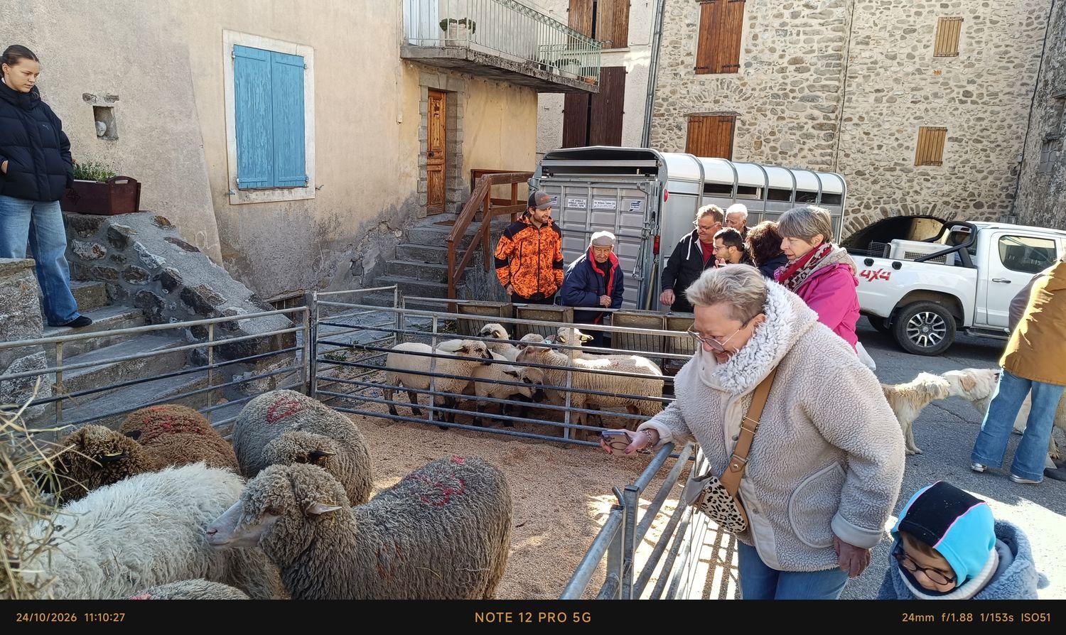 Fête des bergers(ères) 2026